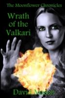 Wrath Of The Valkari