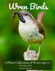 Wren Birds A Photo Collections Of Wren'S  Species Picture Book