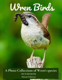 Bertrand.pt - Wren Birds A Photo Collections Of Wren'S  Species Picture Book