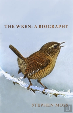 Bertrand.pt - Wren