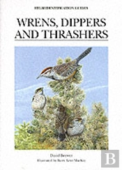 Wrens, Dippers And Thrashers