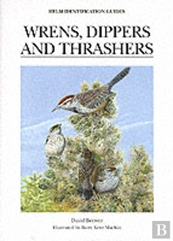 Bertrand.pt - Wrens, Dippers And Thrashers