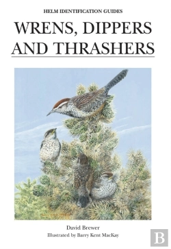 Bertrand.pt - Wrens, Dippers And Thrashers