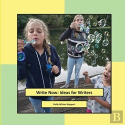 Bertrand.pt - Write Now