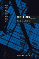 Writing Outside The Nation