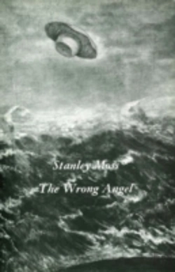 Bertrand.pt - Wrong Angel