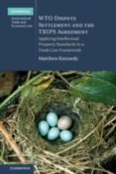 Wto Dispute Settlement And The Trips Agreement