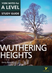 Wuthering Heights: York Notes For A-Level Updf