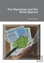 Wynnman And The Silver Spectre