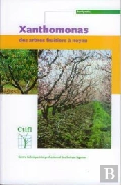 Xanthomonas Des Arbres Fruitiers A Noyau