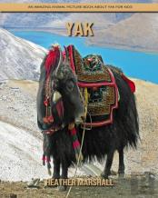 Yak