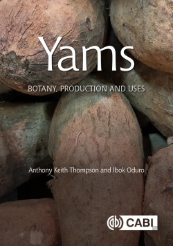 Bertrand.pt - Yams