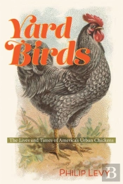 Yard Birds