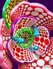 Yayoi Kusama: I Spend Each Day Embracing Flowers