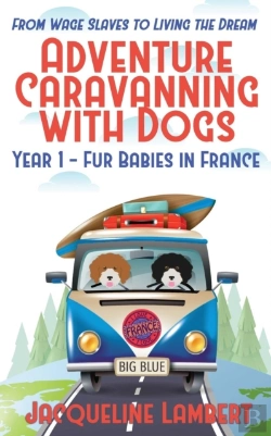 Bertrand.pt - Year 1 - Fur Babies In France