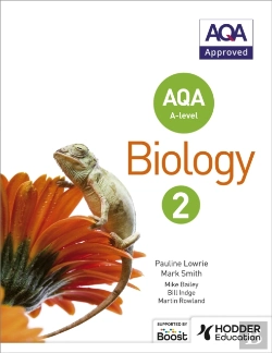Bertrand.pt - Year 2 Student Book