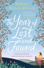 Year Of Lost And Found (Finfarran 7)