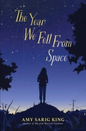 Year We Fell From Space