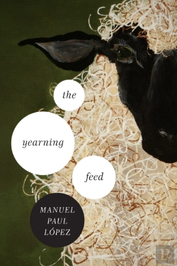 Bertrand.pt - Yearning Feed