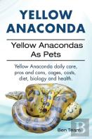 Yellow Anaconda. Yellow Anacondas As Pets. Yellow Anaconda Daily Care, Pro'S And Cons, Cages, Costs, Diet, Biology And Health.