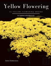 Yellow Flowering