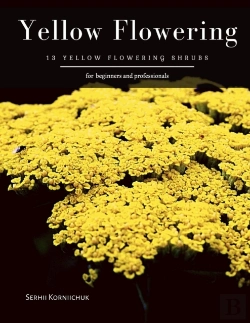 Bertrand.pt - Yellow Flowering