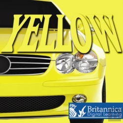 Bertrand.pt - Yellow