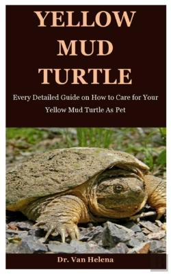 Bertrand.pt - Yellow Mud Turtle