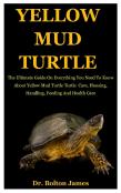 Yellow Mud Turtle
