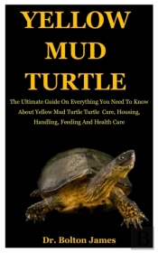 Yellow Mud Turtle