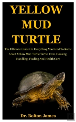 Bertrand.pt - Yellow Mud Turtle