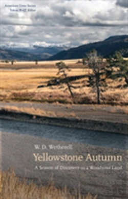 Bertrand.pt - Yellowstone Autumn