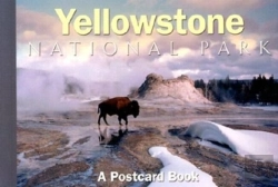 Bertrand.pt - Yellowstone National Park
