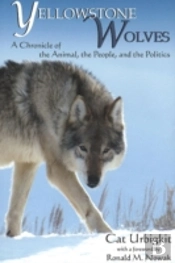 Yellowstone Wolves