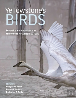 Bertrand.pt - Yellowstoneâ€™S Birds