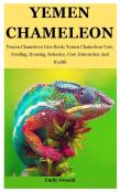Yemen Chameleon
