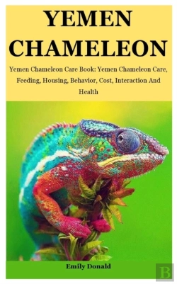 Bertrand.pt - Yemen Chameleon