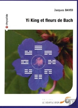 Bertrand.pt - Yi-King Et Fleur De Bach