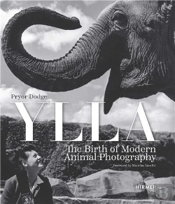 Bertrand.pt - Ylla: The Birth Of Modern Animal Photography