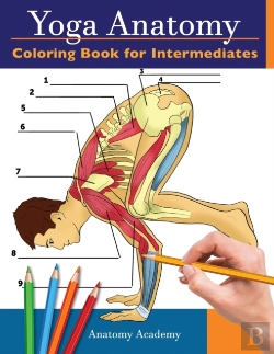 Bertrand.pt - Yoga Anatomy Coloring Book For Intermediates