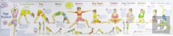 Bertrand.pt - Yoga Practice Wall Chart
