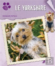 Yorkshire