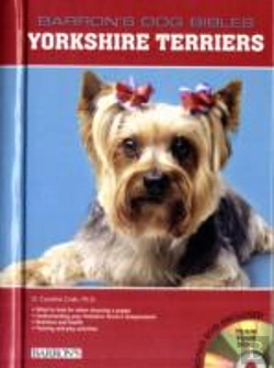 Bertrand.pt - Yorkshire Terriers
