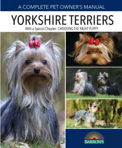 Bertrand.pt - Yorkshire Terriers