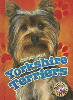 Bertrand.pt - Yorkshire Terriers