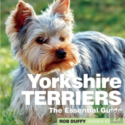 Bertrand.pt - Yorkshire Terriers