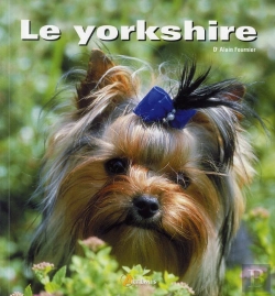 Bertrand.pt - Yorkshire