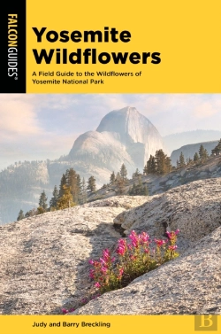 Bertrand.pt - Yosemite Wildflowers