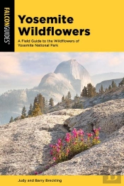 Yosemite Wildflowers