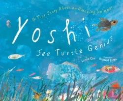 Bertrand.pt - Yoshi, Sea Turtle Genius